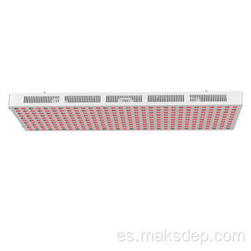 Terapia de luz roja casi infrarroja masaje de sauna